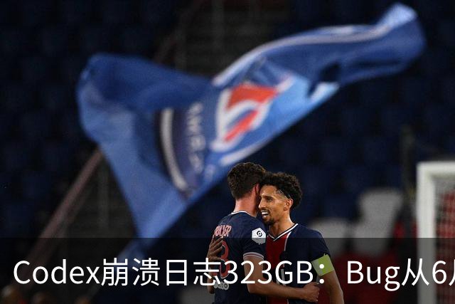Codex崩溃日志323GB：Bug从6月拖至今